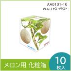  дыня подарок для несессер дыня 1 штук иллюстрации фрукты коробка подарок box .. кейс упаковка материал отправка коробка упаковка 10 листов входит (AA0101)