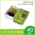 ショッピングシャインマスカット ブドウ・シャインマスカットギフト用化粧箱　シャインマスカット C式 2kg　果物箱　プレゼントボックス　贈答ケース　包装資材　パッケージ　40枚入　（AA6761）