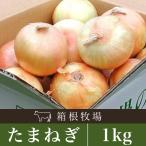  овощи шар лук порей Hokkaido производство специальный культивирование лук репчатый M~2L 1kg