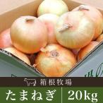 овощи шар лук порей Hokkaido производство лук репчатый S~L 20kg иметь машина культивирование 