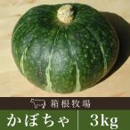 ��� ���ڂ��� �k�C���Y ��Z 3kg ��Z