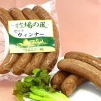u внутренний сосиски мясо ручная работа затонированный u внутренний 120g говядина 100% Hokkaido производство без добавок нет окраска рефрижератор yakiniku барбекю 