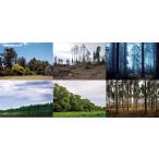 模型 ジオラマ 背景の人気商品 通販 価格比較 価格 Com