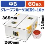 ショッピング果物 （果物の箱）豊果撰集（中B）/60枚入（L-2156）