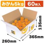 ショッピング果物 （果物の箱）豊果撰集5kg/60枚入（L-2157）