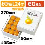 (みかんの箱)温室みかん2kg/60枚入(L-332)