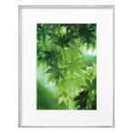  Hakuba ZERO рама G-01 A4 серебряный FZG01-A4SV 4977187487312