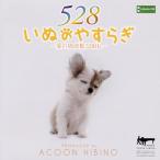 CD)ACOON HIBINO/いぬのやすらぎ〜愛の周波数528Hz〜 (TECH-21474)