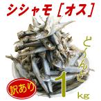 ショッピングわけアリ 【シシャモ1kg（オス）】メスより美味しいという声も！ メガ盛りカラフトししゃも1kg！！　訳あり ワケアリ わけあり