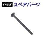 THULE Thule запасной детали болт 50588 TH1500050588 ( задняя дверь крепление крепление для велосипеда Thule BackPac 973)