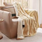 GOTCOZY 電気毛布 掛け敷き兼用 - 180×130cm フランネル電気ブランケット 6段階温度調整 10時間自動停