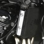 Z900RS 2018-2020 радиатор боковая крышка левый и правый в комплекте z900rs CAFE 2019 радиатор защита покрытие ( черный 