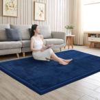 Huloo Sleep カーペット ラグマット 厚手 30mm ショートパイル ラグ 約1~3畳 寝カーペ 低反発 メモリー