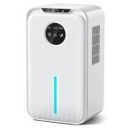 Imspace 除湿機 小型 除湿器 0.8L/日 湿気取り じょしつぎ コンパクト 静音 省工ネ 大容量 2.2L 連続排