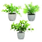 ZERONOWA искусственная зелень человеческий труд декоративное растение Mini растение в горшке 3 позиций комплект настольный интерьер смешанные товары (3)