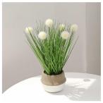 SKTMH искусственная зелень декоративное растение allium искусственный цветок модный подлинный товар целиком полив не необходимо .. нет Gris 