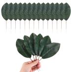 M METERXITY 20 штук входит человеческий труд лист стебель имеется поддельный зеленый leaf DIY цветок Galland / свадьба декоративный элемент re-