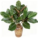 Villa Como искусственная зелень настоящий человеческий труд декоративное растение большой 56CM 3 шт. комплект интерьер fi rental *elas