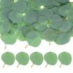 M METERXITY 50 упаковка эвкалипт лист букет / свадьба / кекс / букетик / party стол оборудование орнамент 