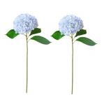 DIFEIUKI гортензия искусственный цветок 2 шт. комплект фиолетовый . цветок шелк цветок стебель имеется лето один колесо ...... первый лето ..