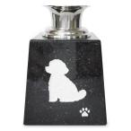  домашнее животное цветок . игрушка пудель чёрный .. камень всегда соба . -. приятный только .. мысль . вместе с домашнее животное праздник .