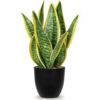 Villa Como искусственная зелень интерьер зеленый сансевиерия человеческий труд декоративное растение искусственный цветок настольный воздушный pra 