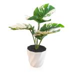 (RUNO) декоративное растение поддельный искусственный цветок интерьер искусственная зелень настольный суккулентное растение 3 позиций комплект (mon стерео 