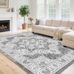 マット 玄関マット 室内 80x120cm ?1畳 滑り止め ホットカーペット対応 耐磨耗性 絨毯 洗える ラグ