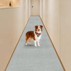 . внизу ковровое покрытие Keilymat. внизу коврик смещение нет ... водоотталкивающий модный одноцветный ковровое покрытие модель long 