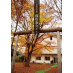 .... . глициния склон ... сырой рассылка отметка :3[M рейс 3/19]