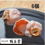 干し柿を丸々使用 和菓子 柏鳥堂 大野白柿 6個入 甘いお餅 求肥 お取り寄せ 老舗 ギフト入 市田柿 お歳暮