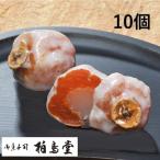 Yahoo! Yahoo!ショッピング(ヤフー ショッピング)干し柿を丸々使用 柏鳥堂 大野白柿 10個 甘いお餅 求肥入 お取り寄せ 老舗 ギフト 和菓子 市田柿
