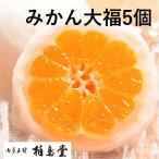 みかん大福 5個入 まるごと フレッシュミカン使用 和菓子 しろあん スイーツ 柏鳥堂 手作りフルーツ大福 要冷蔵 お取り寄せ ギフト お土産