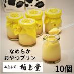 ショッピングプリン なめらか おやつ プリン 10個 要冷蔵 無添加 無着色 お取り寄せ 老舗 ギフト 母の日 お歳暮 敬老の日 ハロウィン 岐阜 和菓子