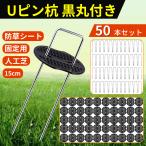 Uピン杭　黒丸付　防草シート用　15cm　50本セット 固定用　おさえピン 人工芝　ピン　お庭の芝生　JPV014  XCSOURCE