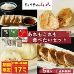 【期間限定17%OFF】ぎょうざの山八 (あれもこれも食べたいセット) 送料無料 ハローデイ限定セット (北海道・沖縄別途送料)