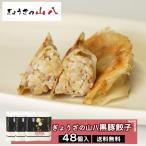 ぎょうざの山八 黒豚餃子(48個) 送料無料 点心 餃子 焼き餃子 山八餃子 ご自宅用 お取り寄せグルメ お取り寄せ 福岡 (北海道・沖縄別途送料)