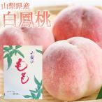 送料無料 数量限定 山梨県産 白鳳 桃 約2Kg 化粧箱 6〜7玉 フルーツ もも 白桃 山梨県産 白鳳桃 (7月1日以降順次発送)
