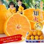 ショッピングデコポン 熊本県産 不知火 肥後のデコ姫 秀品 約5kg 13玉〜15玉 送料無料 デコポン 訳ありではありません（北海道・沖縄別途送料）(日付指定不可)