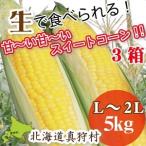 産地直送 北海道 とうもろこし 真狩村産【イエローコーン(恵味 他 ※ 品種は選べません)】 15kg(5kg×3箱) (33本程度)