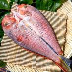 Yahoo! Yahoo!ショッピング(ヤフー ショッピング)石州ぐじ一夜干し　特大（アマダイ）