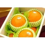 ショッピング甘平 甘平（かんぺい）愛媛Queenクイーンスプラッシュ通販 糖度13度以上 栽培全量の10％ほどの希少性　約4玉〜約6玉