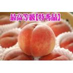 新福島のサンピーチ桃販売福島ブラン...