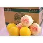 愛媛美生柑（みしょう