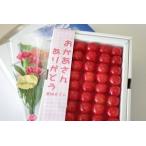 遅れてごめん5/11以降到着！母の日さくらんぼギフト通信販売 山形佐藤錦をプレゼントに。カーネーション付き。化粧箱300ｇ