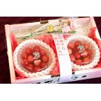 母の日さくらんぼギフト通信販売取寄 山形佐藤錦をプレゼントに。カーネーション付き。ダイヤパック約100ｇ×2ｐ入れ