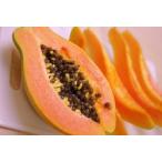  Miyazaki префектура производство папайя примерно 3 шар ~ примерно 5 шар 