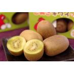 さぬきキウイっこキウイフルーツ販売 香川県産 通販お取り寄せ 約7玉〜約15玉×5箱