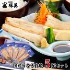 うなぎ 国産 白焼 170-180g×5尾セット (タレ・山椒付) プレゼント ギフト 誕生日 贈答用 冷凍 食品 御祝 御礼 内祝 勝美 鰻 ウナギ 白焼き 浜名湖 真空パック