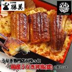 うなぎ 国産 蒲焼き弁当 2食セット【並】 (タレ山椒付) 送料無料 誕生日 贈り物 駅弁 冷凍弁当 うなぎ蒲焼き 鰻蒲焼 うなぎ蒲焼 浜名湖 浜松 鰻 ウナギ